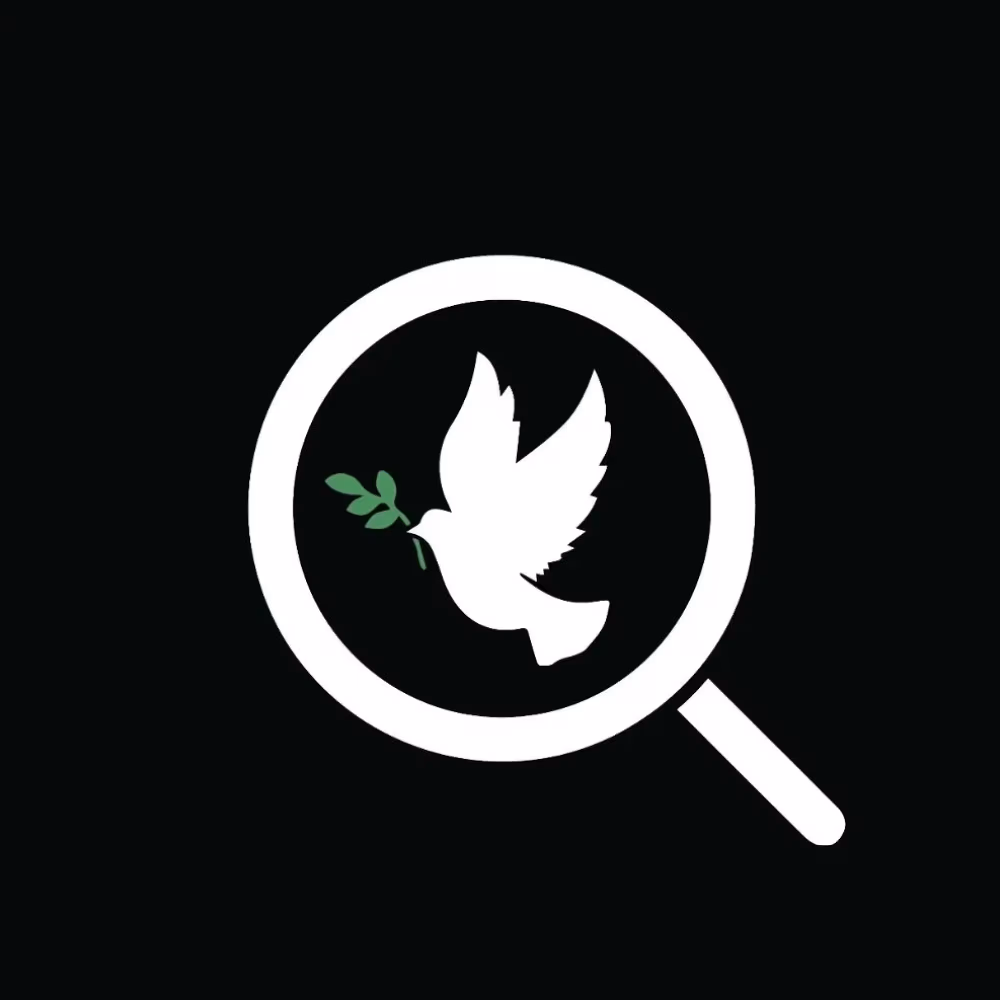 PeaceCheck - Palästinensische Narrative stärken, anti-palästinensischen Rassismus bekämpfen