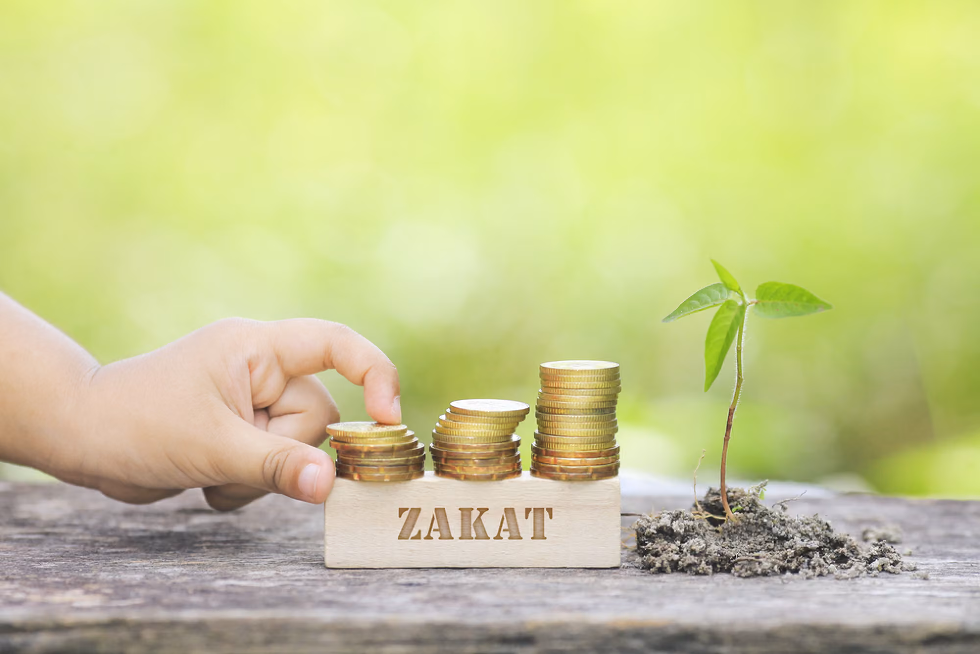 Zakaatul Fitr - HDD Chairty [10 € pro Person)