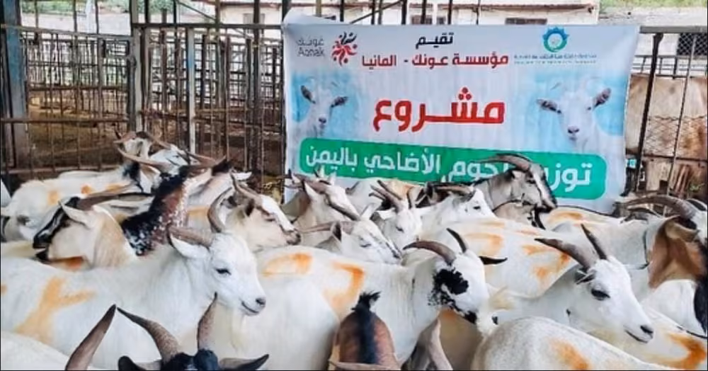 Kurban Projekt im Jemen 1446 / 2025