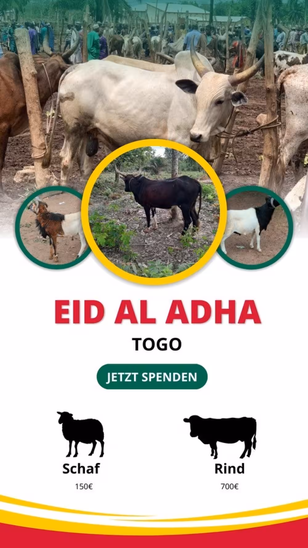 Kurban- EID Al Adha